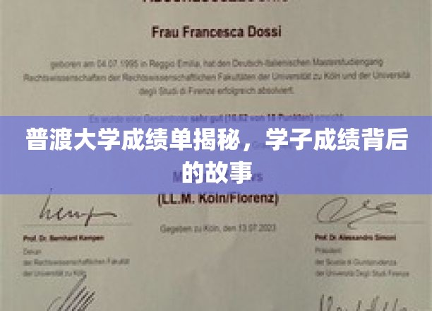 普渡大学成绩单揭秘：探寻学子成绩背后的故事