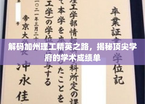探寻加州理工精英养成记，揭秘学术殿堂的秘密成绩单