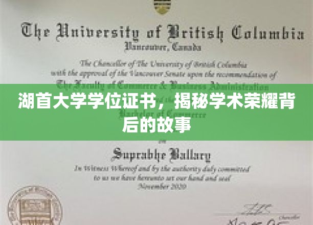 湖首大学学位证书，揭秘学术荣耀背后的故事