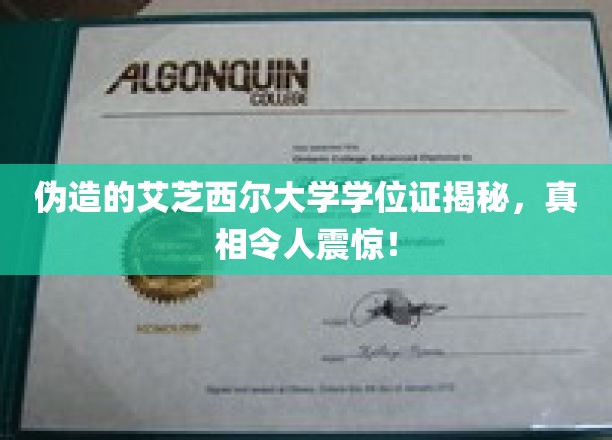 伪造的艾芝西尔大学学位证揭秘，真相令人震惊！