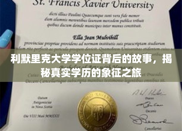 利默里克大学学位证背后的故事，揭秘真实学历的象征之旅