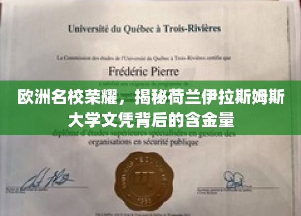 荷兰伊拉斯姆斯大学，揭秘欧洲精英教育的黄金文凭之谜