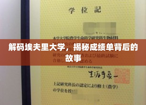 埃夫里大学成绩单揭秘，探寻教育成就背后的秘密