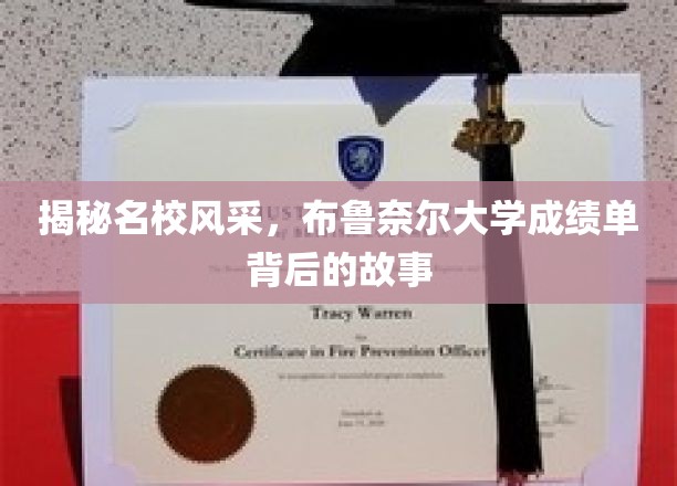 探索布鲁奈尔大学卓越背后的惊人成绩单之谜