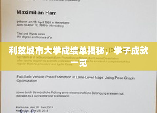 利兹城市大学学霸档案，揭秘学子卓越成就之旅