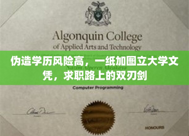 学历造假陷阱多，一纸图证文凭，求职路上的隐忧与挑战
