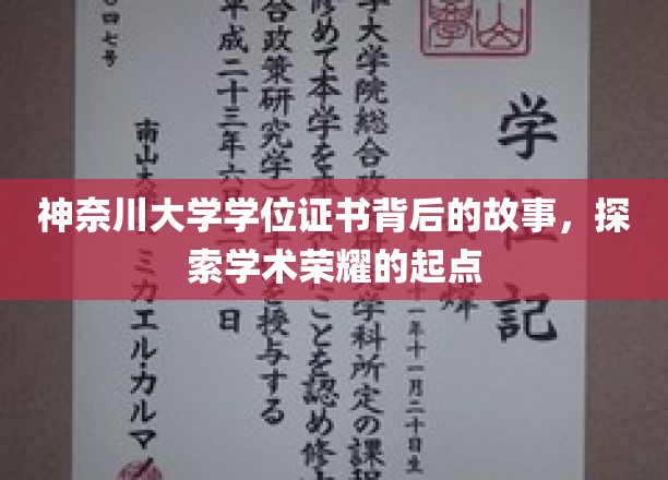 神奈川荣耀启程，一纸学位证书背后的学术传奇