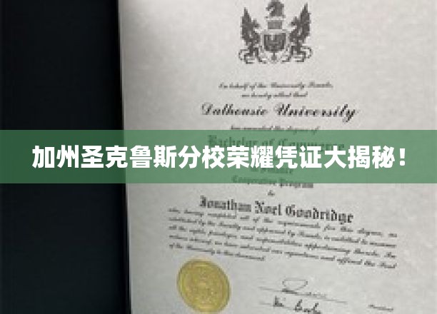 加州圣克鲁斯分校传奇文凭背后的荣耀密码大解密