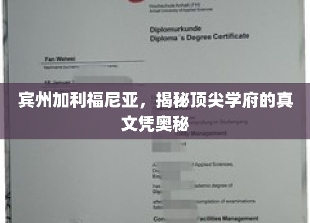 宾州加利福尼亚名校文凭背后的神秘面纱