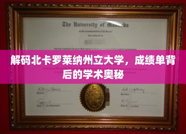 揭秘北卡罗莱纳大学，探索学术成就的深层秘密