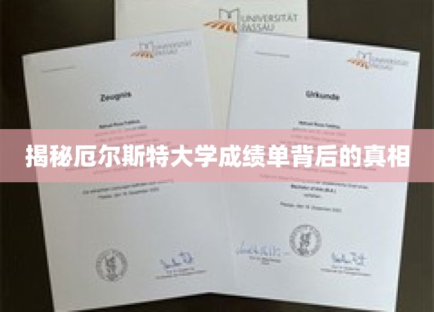 揭秘，厄尔斯特大学成绩单背后的神秘面纱