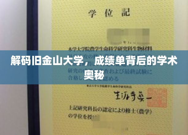探索旧金山大学，揭开成绩单背后的学术传奇