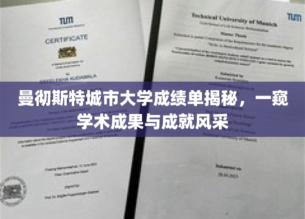 曼彻斯特城市大学成绩单揭秘，一窥学术成果与成就风采