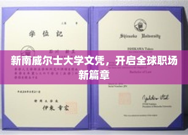 新南威尔士大学文凭，开启全球职场新篇章
