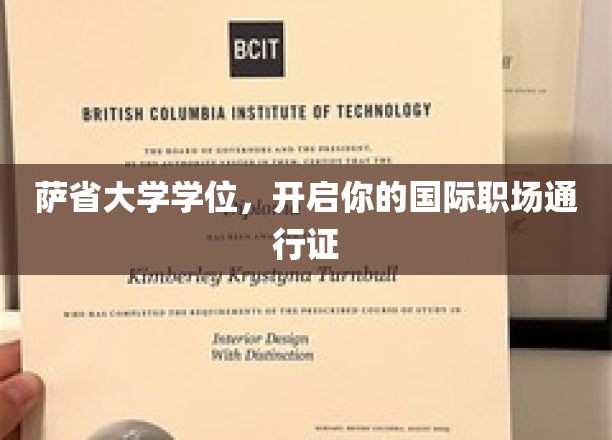 萨省大学学位，开启你的国际职场通行证