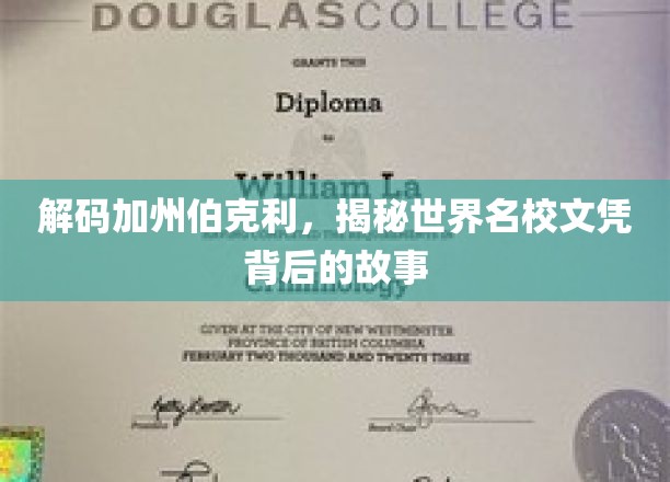 探索加州伯克利，名校文凭背后的传奇与奥秘