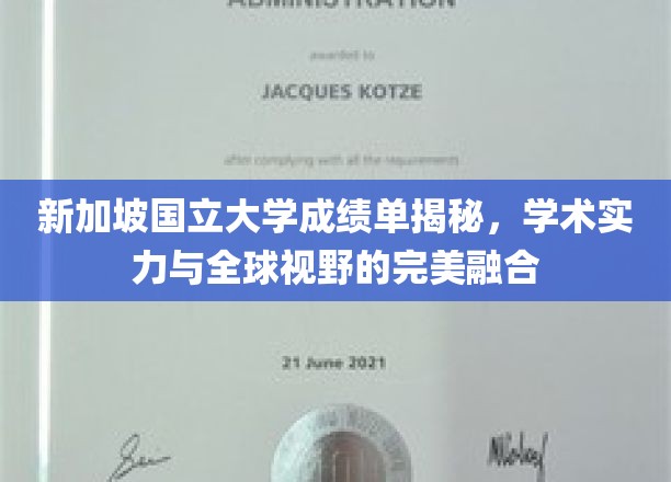 新加坡国立大学，揭秘学术精英的全球视野与卓越实力