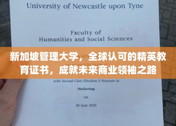 新加坡管理大学精英通行证，开启商业领袖璀璨前程
