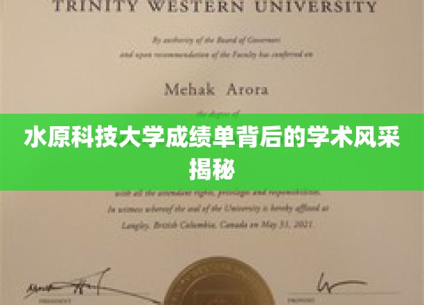 解码水原科技大学，成绩单下的学术魅力全景展示