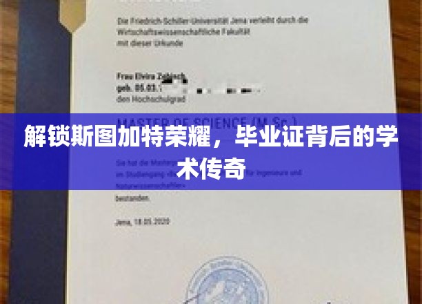 探寻斯图加特精英之路，毕业证背后的学术奥秘