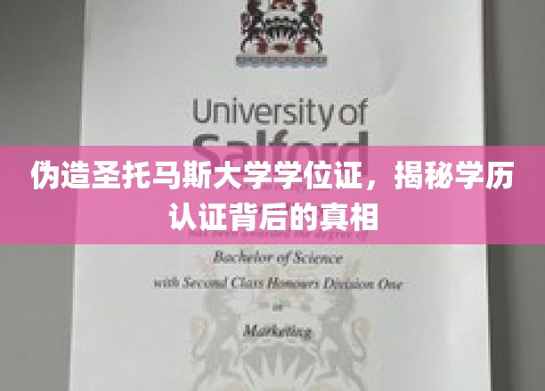 伪造名校学位风波，揭秘学历认证市场的暗流涌动