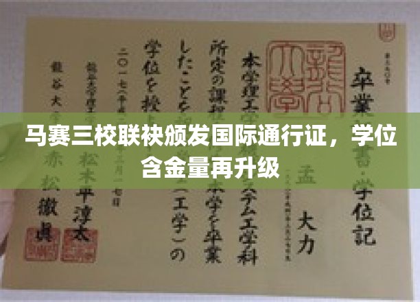 马赛三校携手打造全球认可学位，教育国际化新篇章开启