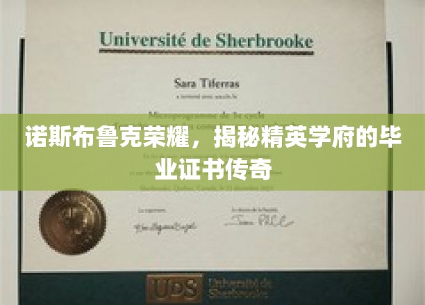 精英学府荣耀传承，诺斯布鲁克毕业证书背后的传奇故事