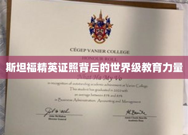 斯坦福精英证照揭秘，世界级教育力量的秘密通道