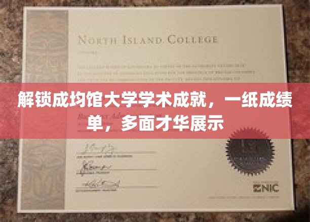 成均馆大学精英风采，成绩单背后的多元才华绽放