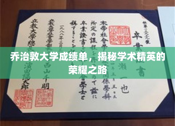 乔治敦大学成绩单，揭秘学术精英的荣耀之路