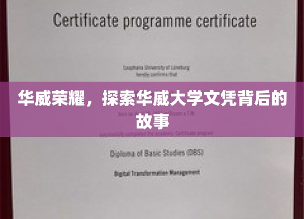 解码华威辉煌，揭秘华威大学文凭的非凡旅程