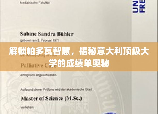 解锁帕多瓦智慧，揭秘意大利顶级大学的成绩单奥秘