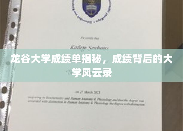 龙谷大学成绩背后，揭开校园风云秘闻
