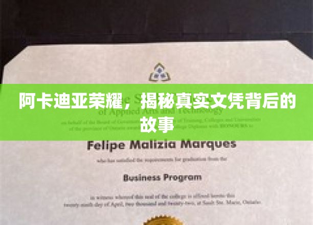 探寻阿卡迪亚荣耀，文凭背后不为人知的传奇旅程