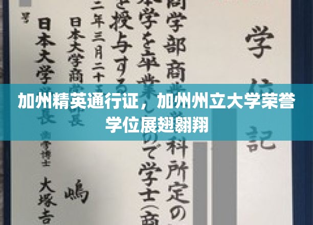 加州精英通行证，加州州立大学荣誉学位展翅翱翔
