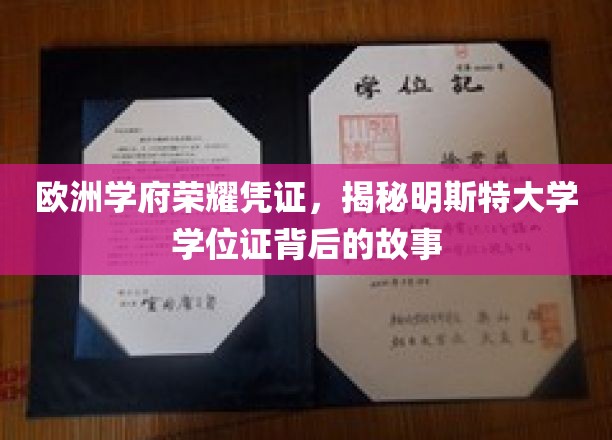 欧洲学府荣耀凭证，探秘明斯特大学学位证背后的传奇