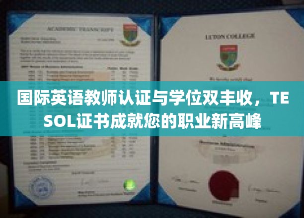 解锁国际教育舞台，TESOL认证助您学位加身，职场飞跃新境界