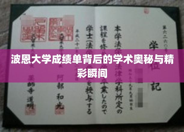 解码波恩大学，成绩单背后的学术传奇与难忘瞬间