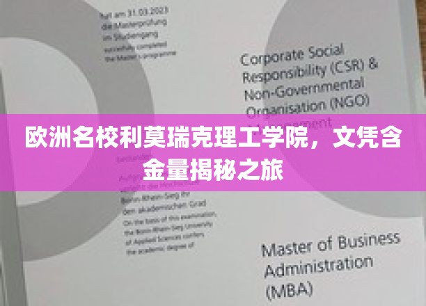 探寻利莫瑞克理工学院，欧洲名校文凭的黄金价值之旅