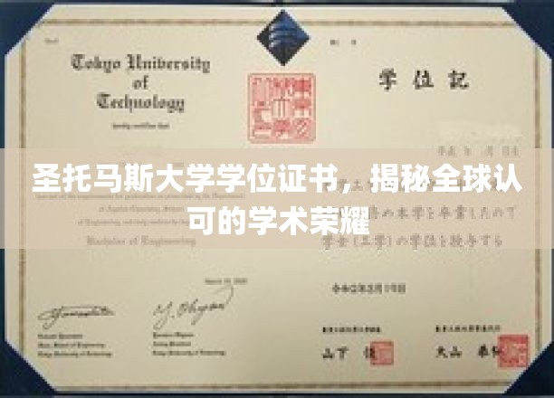 圣托马斯大学学位证书，见证全球认可的学术荣耀