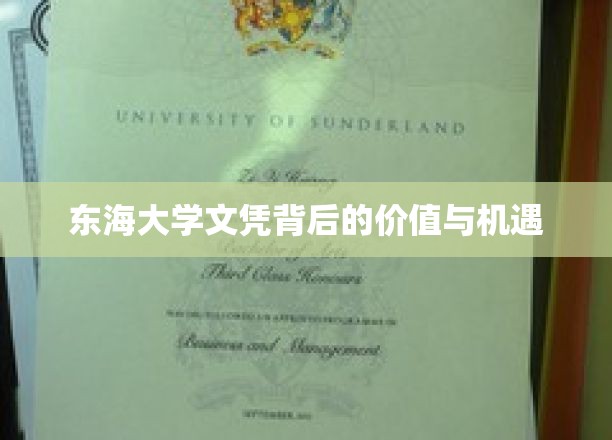 解码东海大学文凭，职场竞争力新篇章