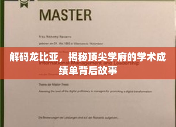 解码龙比亚，顶尖学府学术成绩单背后的秘密档案