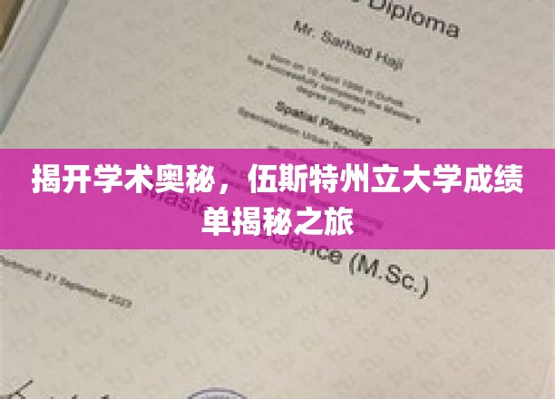 探索学术秘境，伍斯特州立大学成绩单深度揭秘记