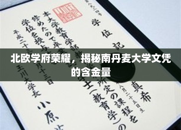 北欧教育之光，探秘南丹麦大学学位的非凡价值