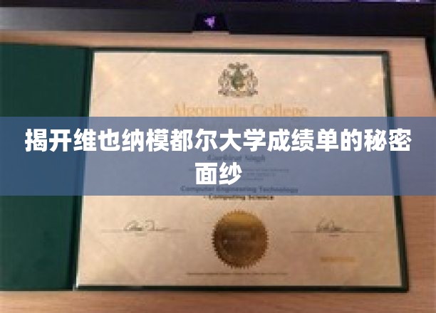 揭秘维也纳模都尔大学成绩单背后的神秘世界