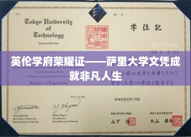 萨里大学荣耀加冕，成就非凡人生的高学历通行证