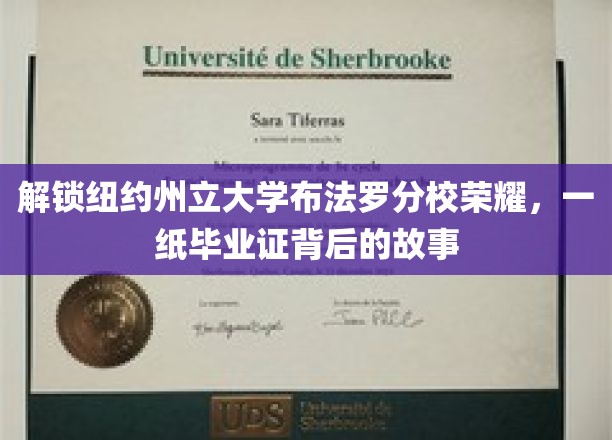 破译纽约州立大学布法罗分校荣耀密码，毕业证书背后的传奇旅程
