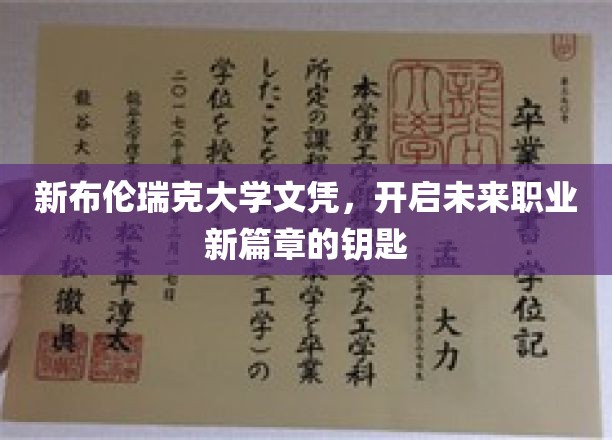 解锁未来职场新起点，新布伦瑞克大学文凭，开启无限可能