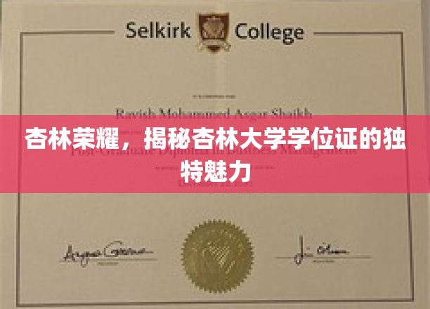 杏林学府荣耀，学位证背后的独特印记探秘