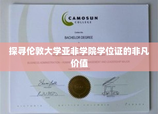 伦敦大学亚非学院学位证，揭开国际教育的高品质奥秘